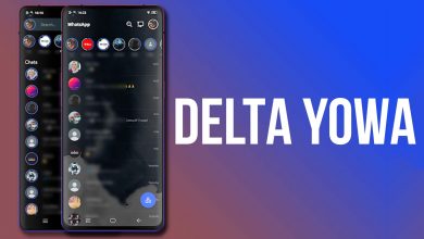delta-yowa